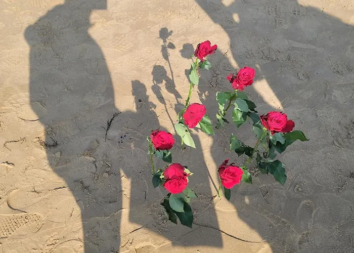 Gite Au Coeur Du Dday